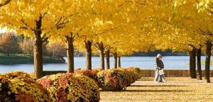 Chicago Botanic Garden