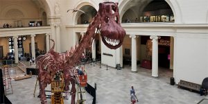 Field Museum