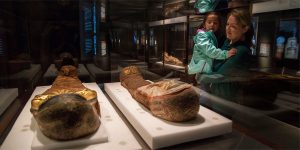 Field Museum