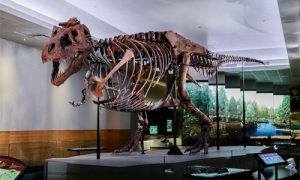 Field Museum