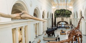 Field Museum